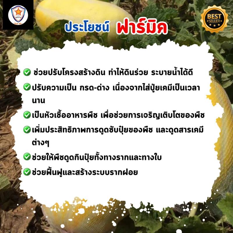 ฟาร์มิค ฮิวมิค แอซิด สารปรับปรุงดิน ฟื้นระบบราก ปลดปล่อยธาตุอาหาร เพิ่มผลผลิต สำหรับต้นแตงไทย