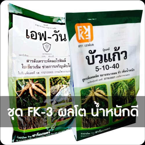 FK-3 ปุ๋ยทางใบ ใช้สำหรับเพิ่มผลผลิต ทำให้ผลโต ไม่ร่วง และมีผิวสวย รสชาดดี และได้นั้ำหนัก ใช้ได้กับผลไม้ทุกชนิด ใช้กับผลไม้ในช่วงติดผลแล้ว
