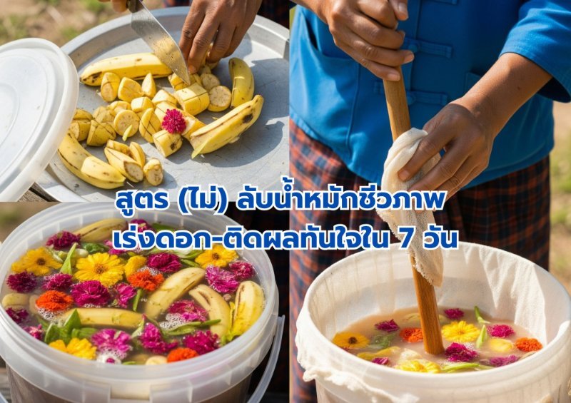 รูปภาพประกอบ