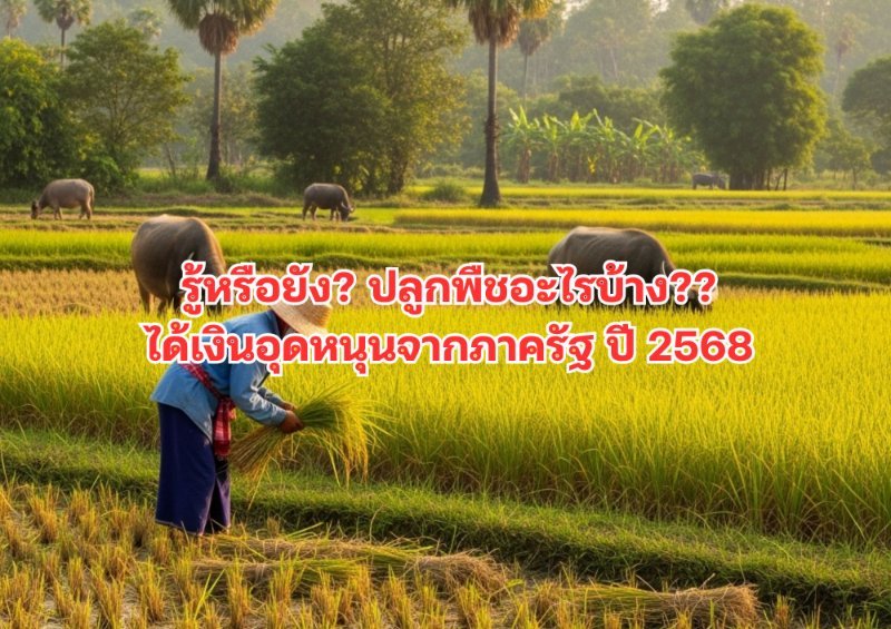 บทความ