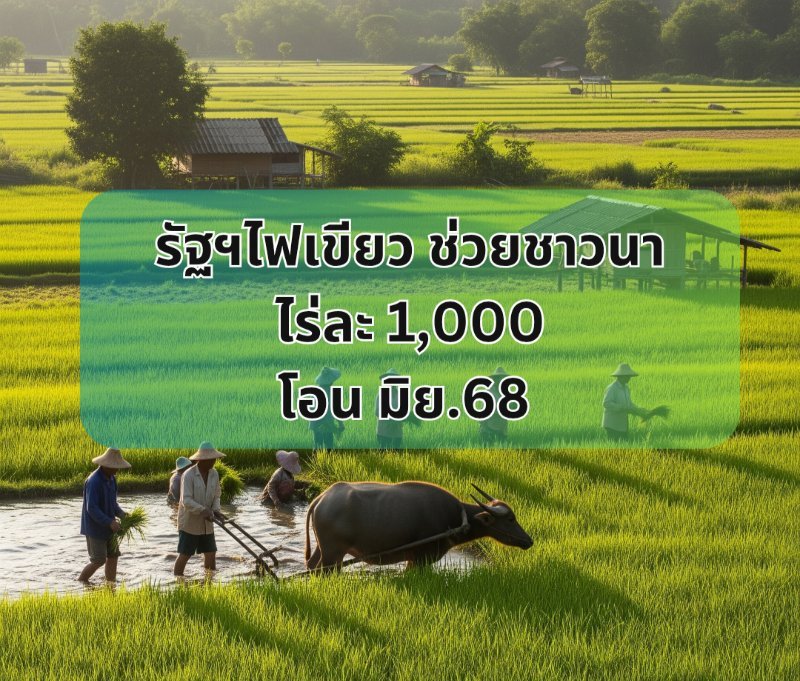 รูปภาพประกอบ
