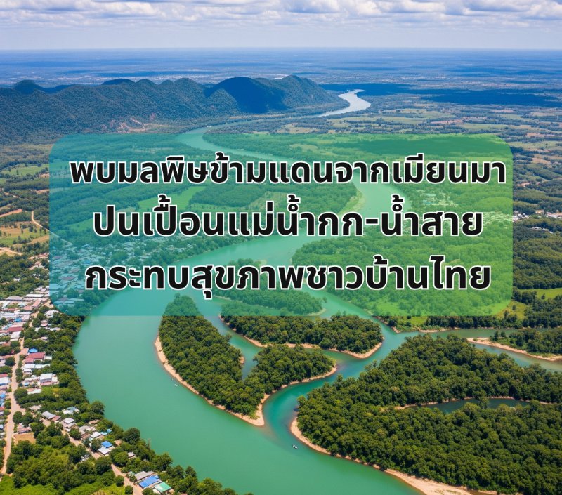 บทความ