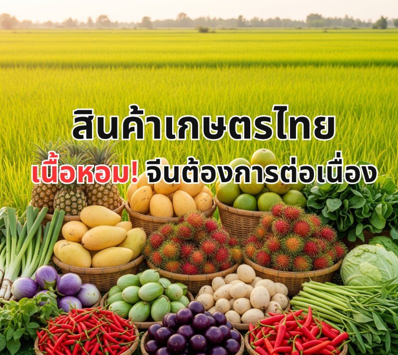 บทความ