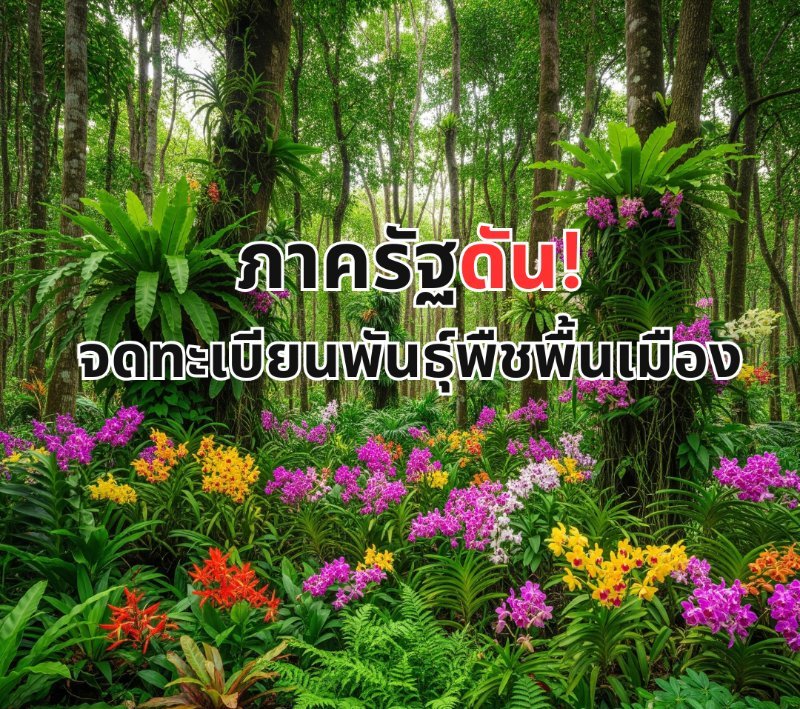 บทความ