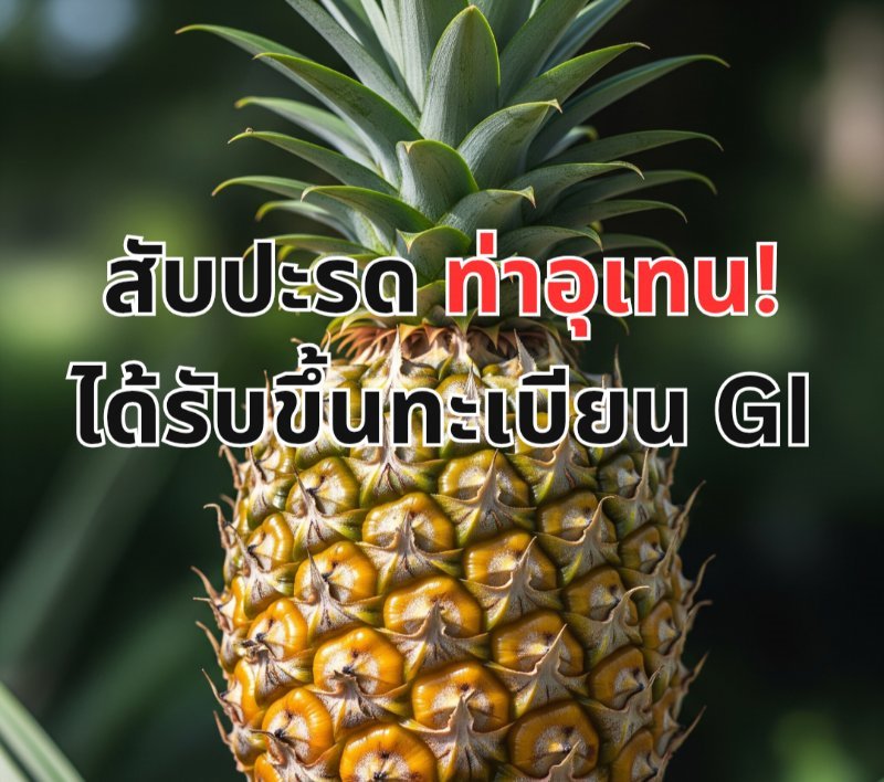 รูปภาพประกอบ