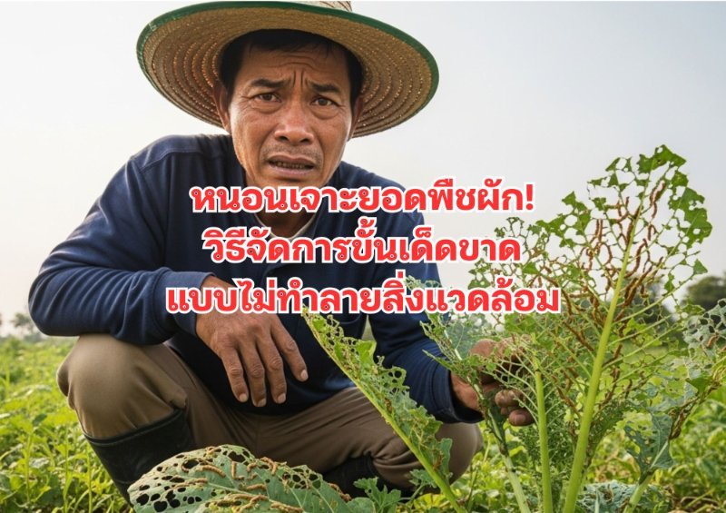 รูปภาพประกอบ