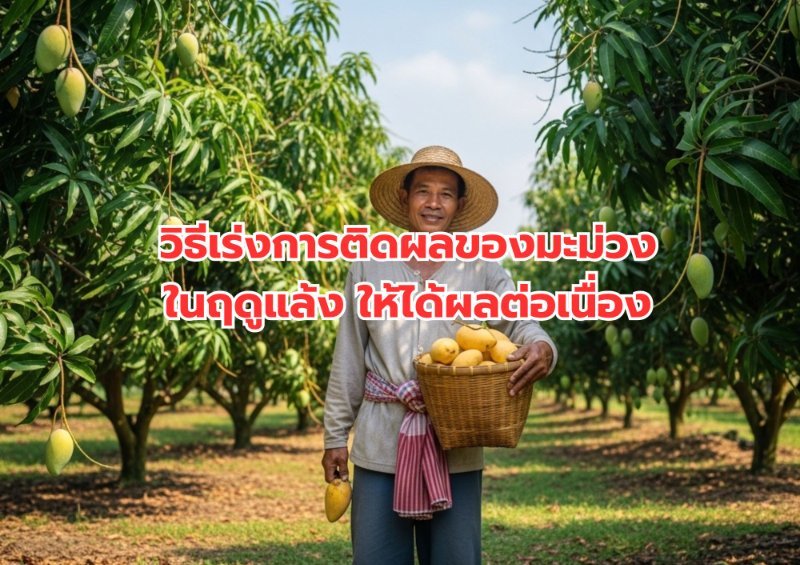 รูปภาพประกอบ