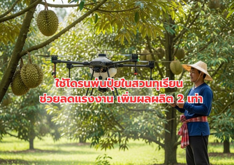 รูปภาพประกอบ