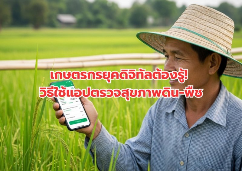 รูปภาพประกอบ