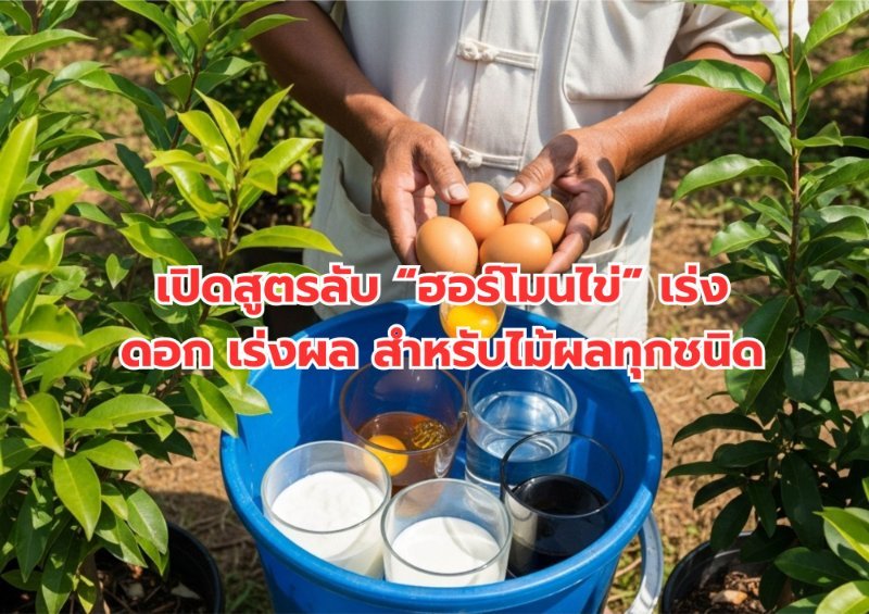 รูปภาพประกอบ
