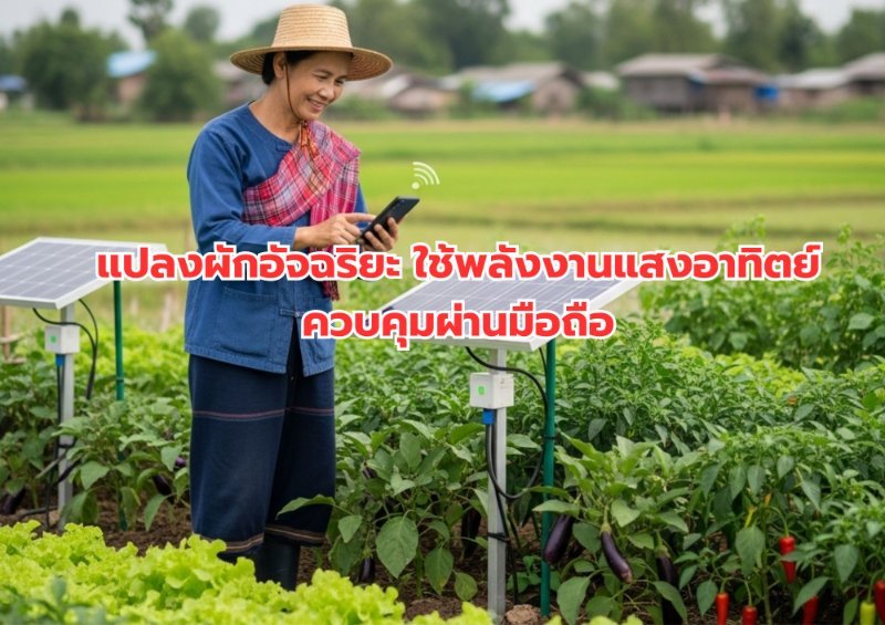 รูปภาพประกอบ