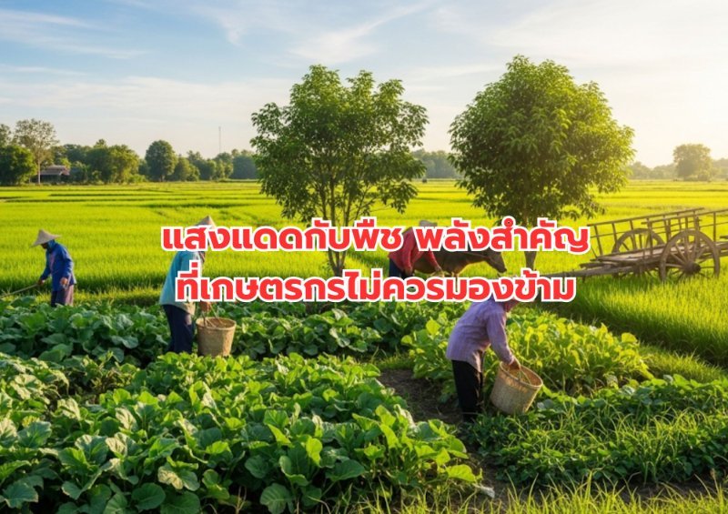 รูปภาพประกอบ