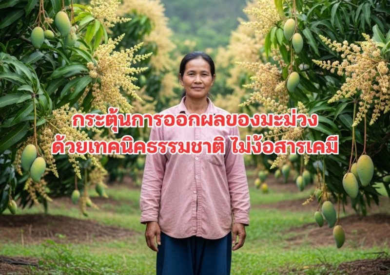 รูปภาพประกอบ