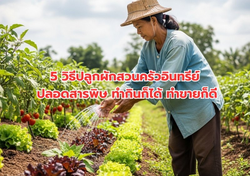 รูปภาพประกอบ
