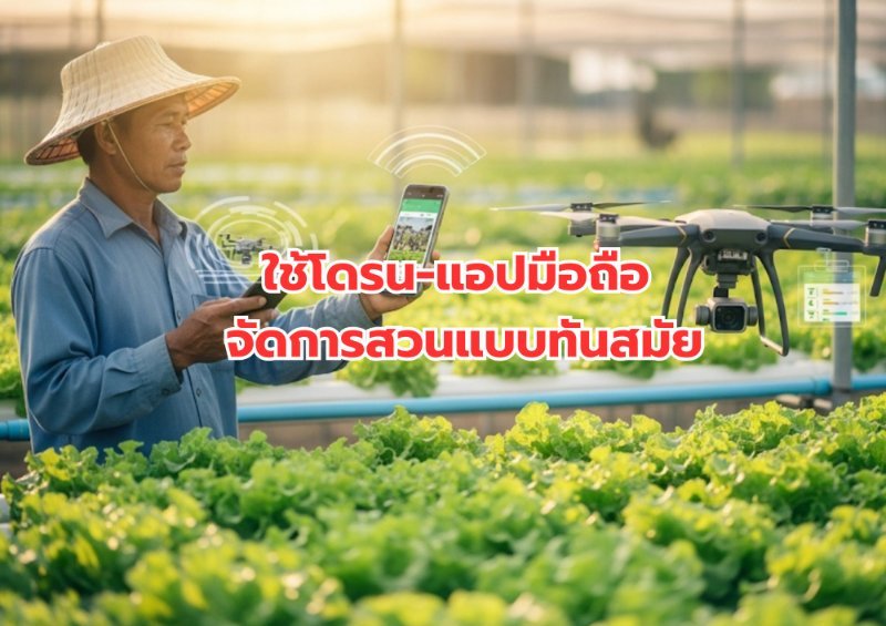 รูปภาพประกอบ