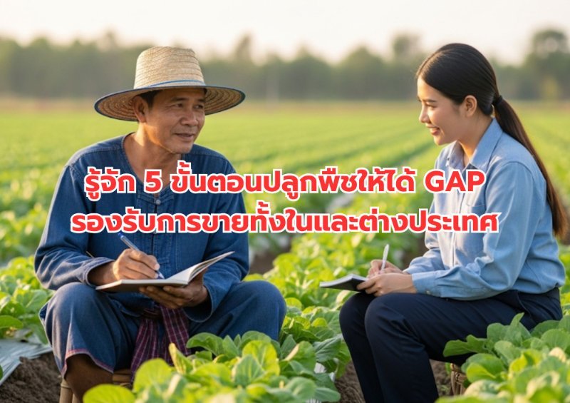 บทความ