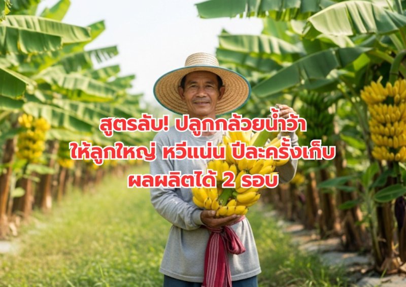 บทความ