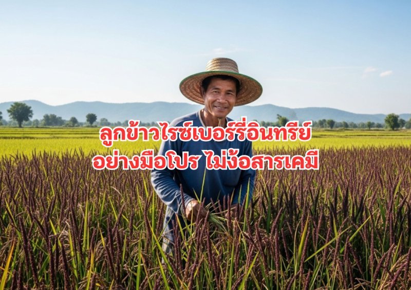 บทความ