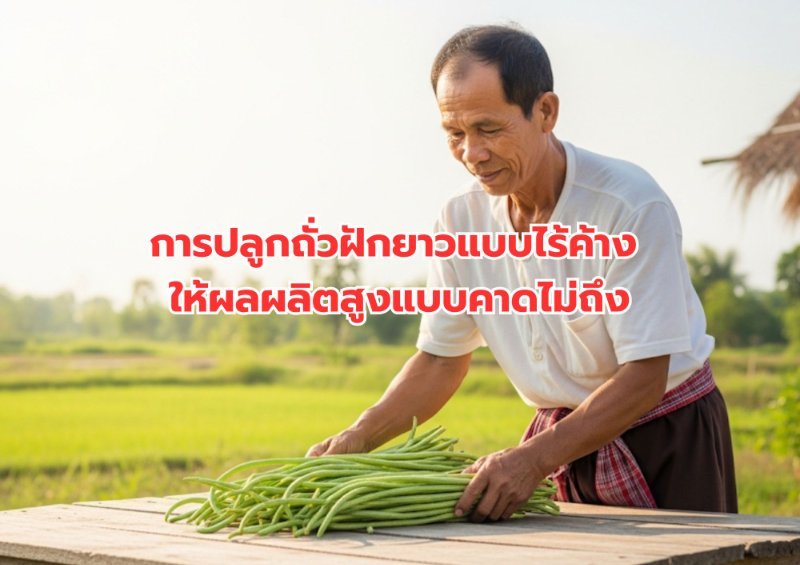 รูปภาพประกอบ