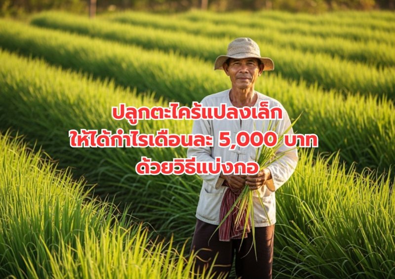 รูปภาพประกอบ