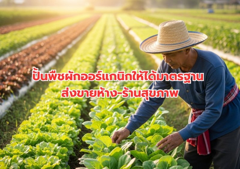 รูปภาพประกอบ