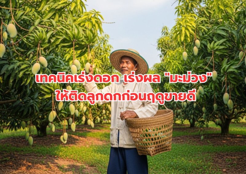 รูปภาพประกอบ