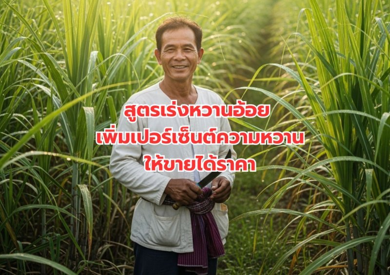 รูปภาพประกอบ