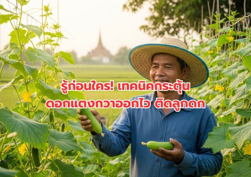 รูปภาพประกอบ