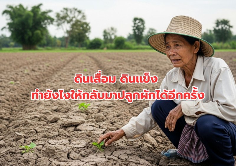 รูปภาพประกอบ