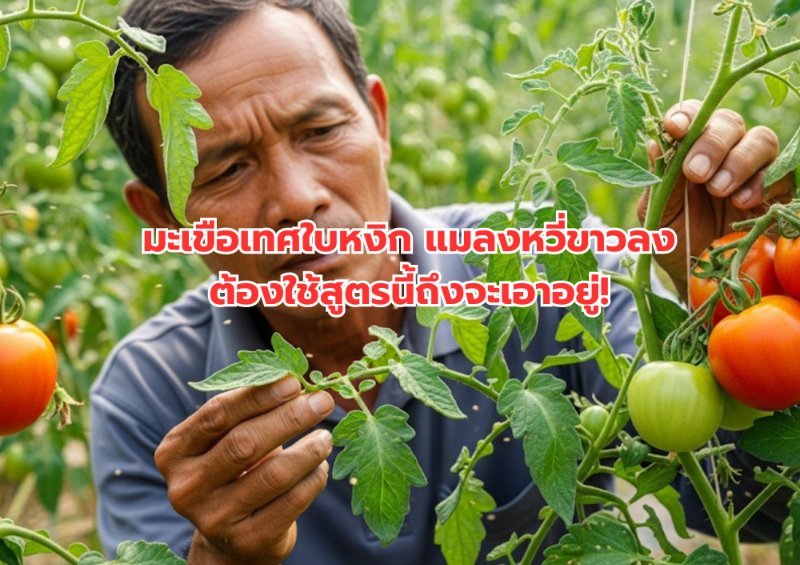 รูปภาพประกอบ