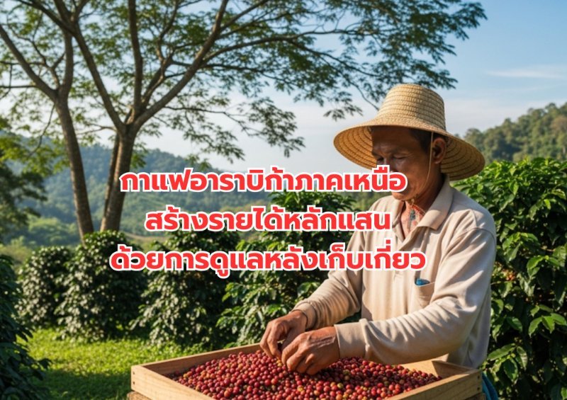 รูปภาพประกอบ