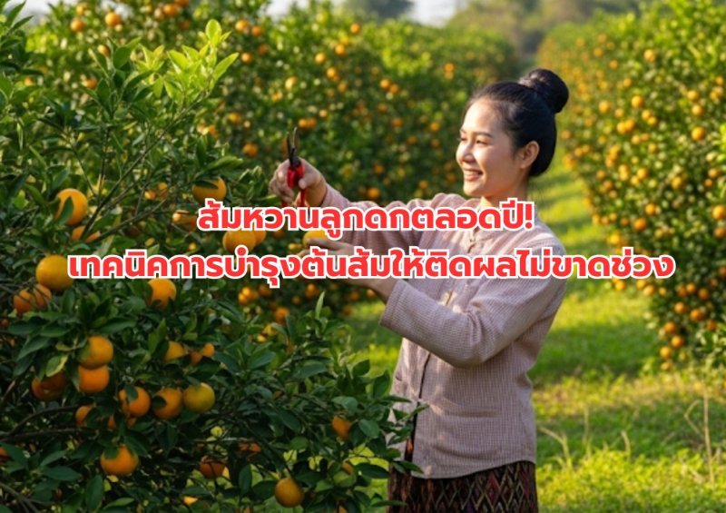 รูปภาพประกอบ