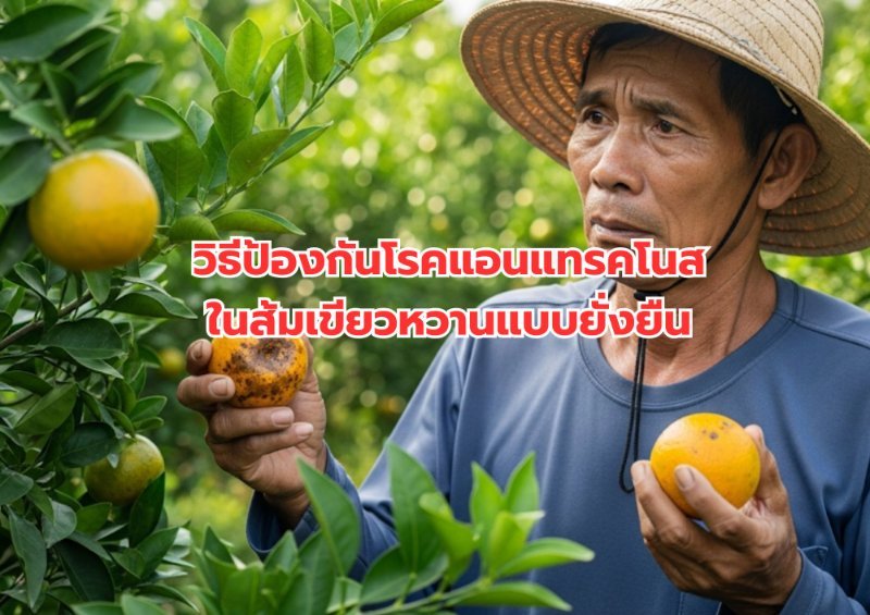 รูปภาพประกอบ