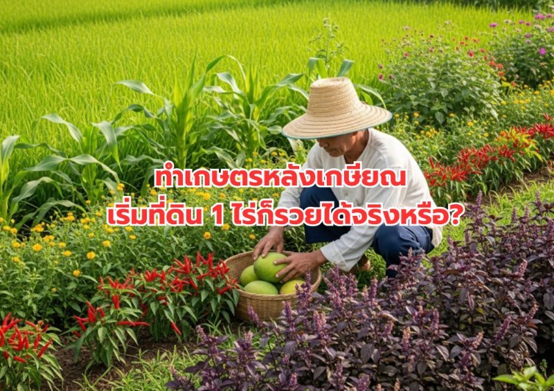 รูปภาพประกอบ