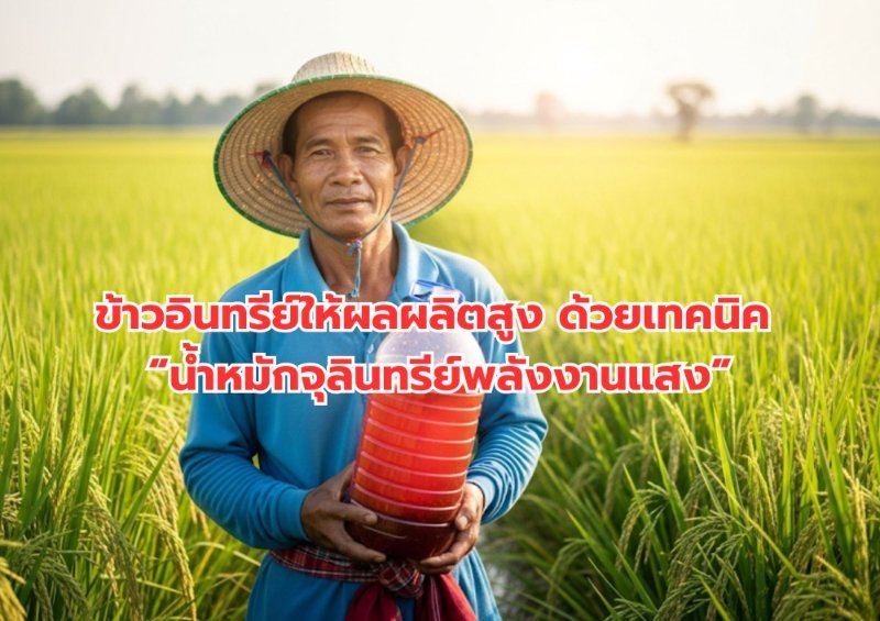 บทความ