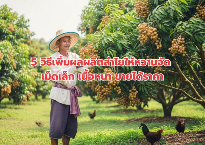 บทความ