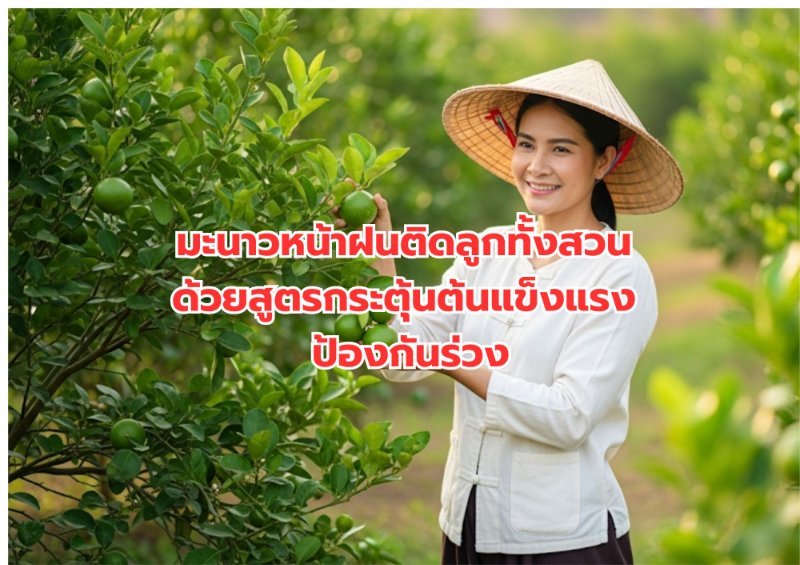 บทความ