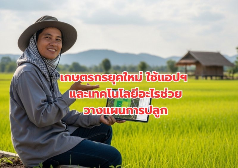 บทความ
