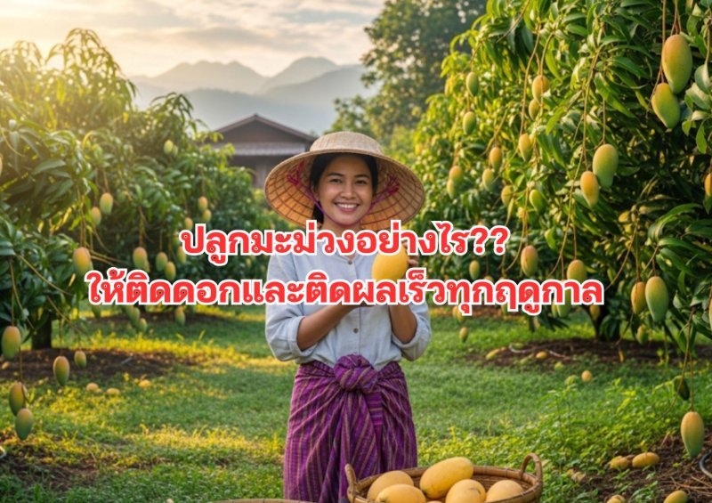 รูปภาพประกอบ