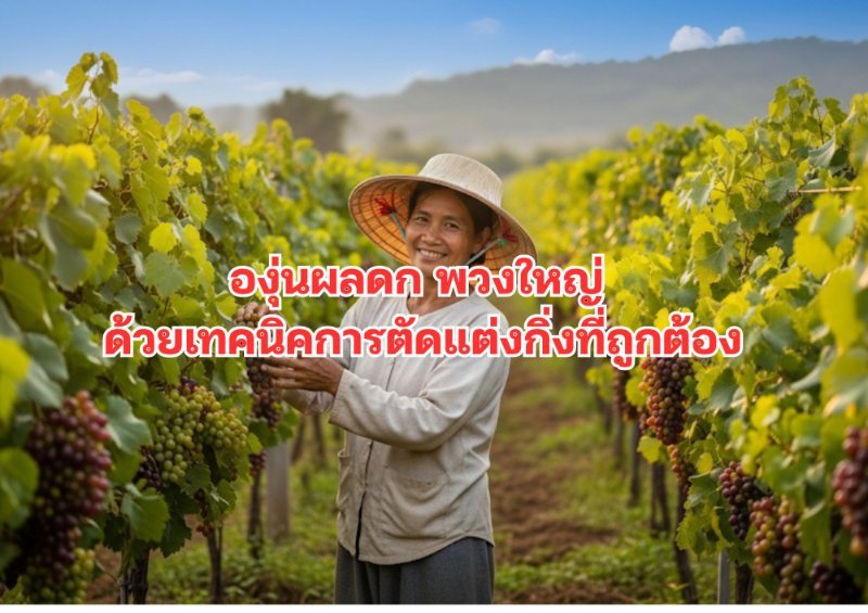 บทความ