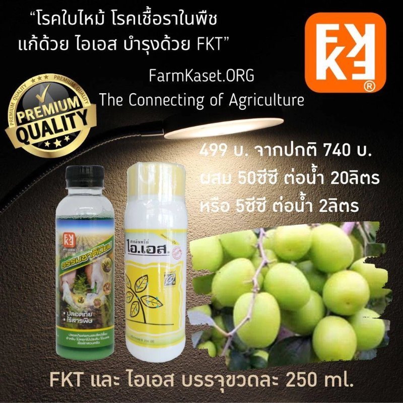 บทความ