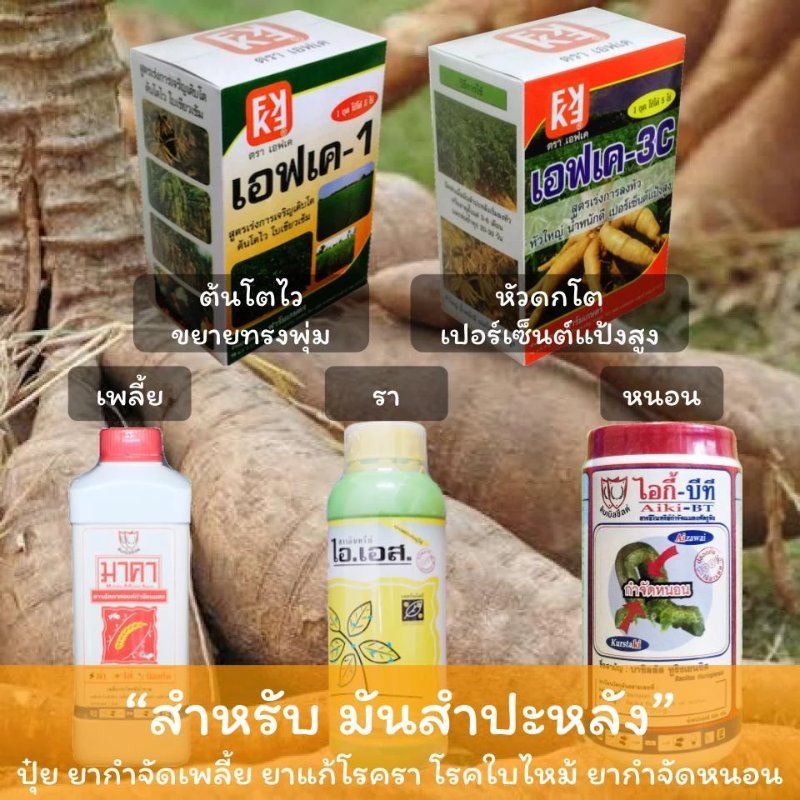บทความ