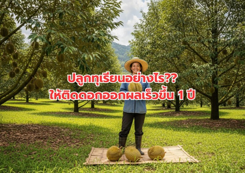 บทความ