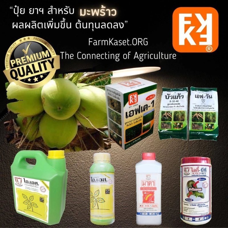 บทความ