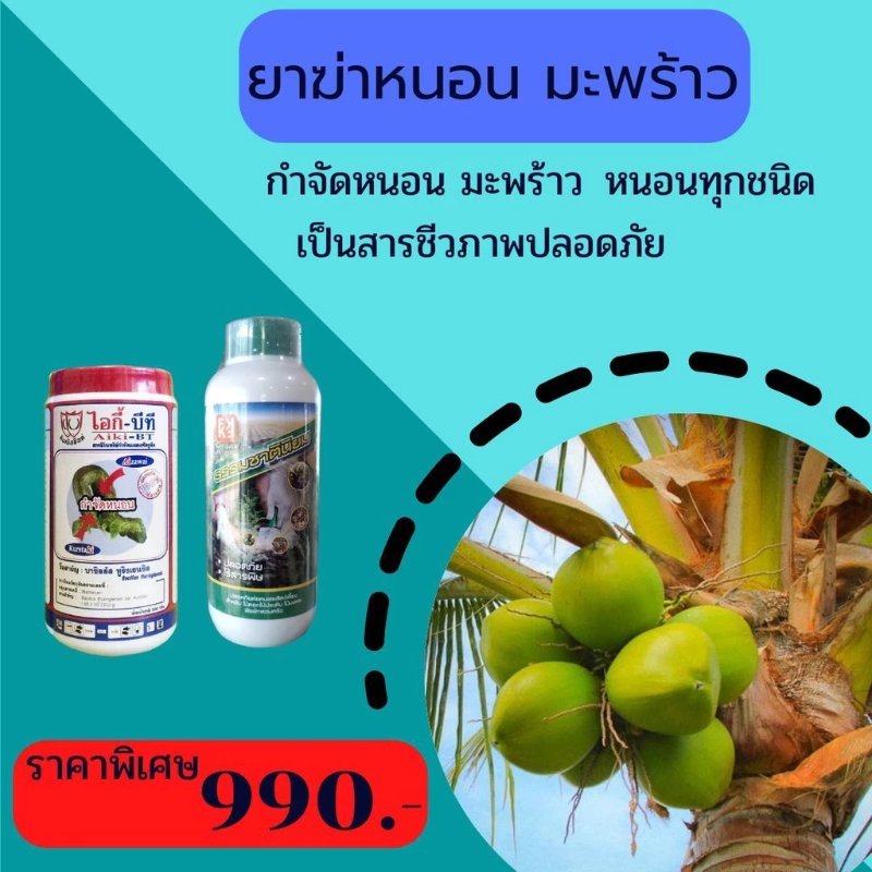 บทความ