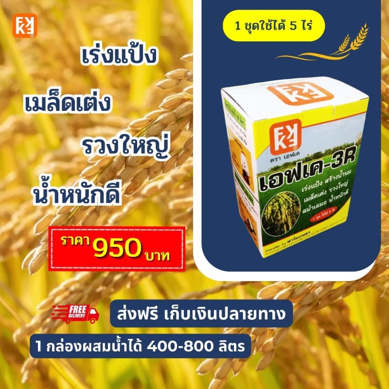 บทความ