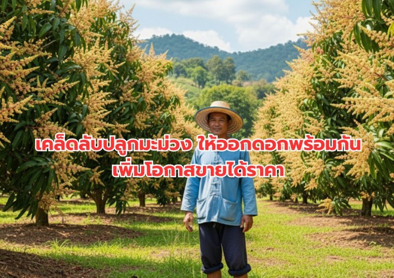 รูปภาพประกอบ