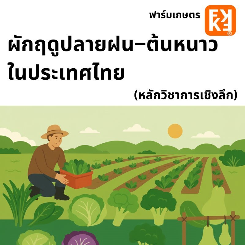รูปภาพประกอบ