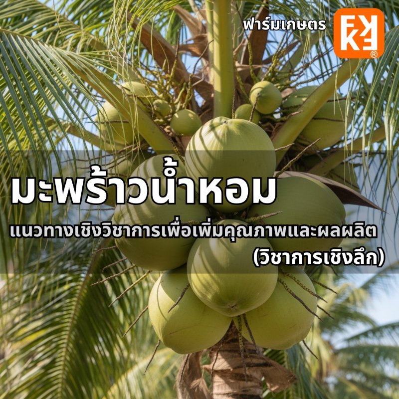รูปภาพประกอบ