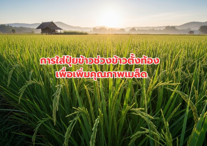 รูปภาพประกอบ
